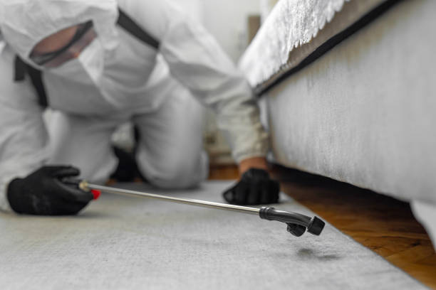 Professional Bed Bug Control technician working in Hampton city County, VA